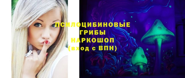 прущий лед Алексин