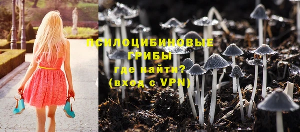 прущий лед Алексин