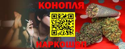 гидропоника Пенза
