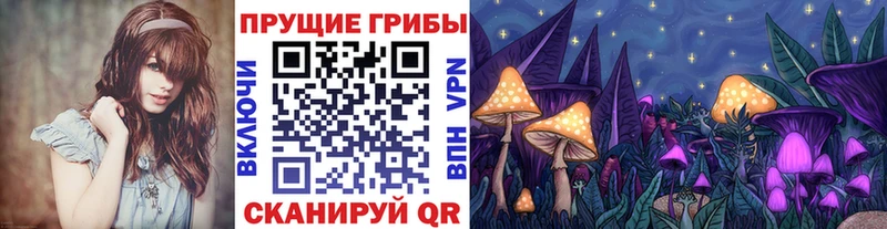 ссылка на мегу Сорочинск Галлюциногенные грибы Magic Shrooms