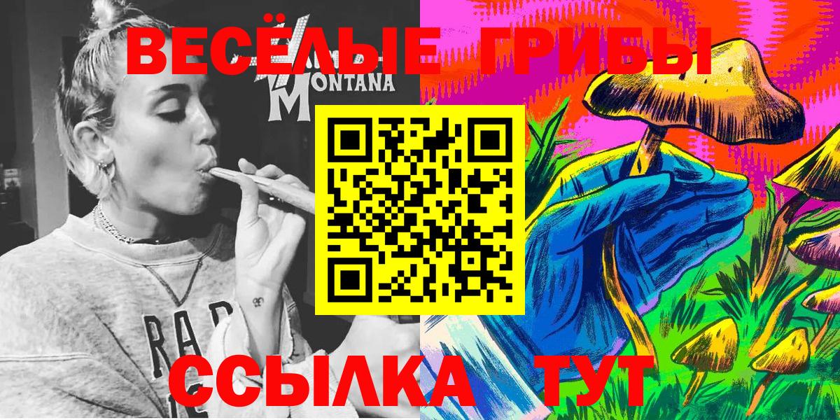 Сорочинск  Галлюциногенные грибы Psilocybe  Вход с VPN 